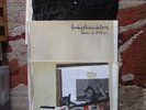 BABYSHAMBLES DOWN IN ALBION 2 X LP RECORD ETCHED 1ST PRESS +SHOTTER'S NATION
