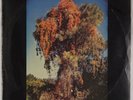 WE ALL TOGETHER: ’72 Peru Mag Psych Rock OG Vinyl LP Hear