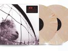 Pearl Jam - VS - Ten Club Exclusive - 30th Anniversary Dreamsicle Vinyl - SEALED