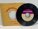 1968 The Bay Ridge - Without You - Acetate Master Recording Audiodisc RARE
