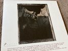 Surfer Rosa by Pixies (Record, 2004)