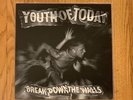 Youth Of Today Break Down The Walls LP White Vinyl Revelation 2001 Judge COS