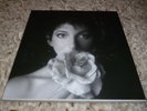 Kate Bush Remastered In Vinyl II LP Record Box Set Excellent condition