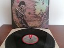 Thin White Rope – In The Spanish Cave- Vinile -lp 1988