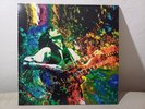 LED ZEPPELIN - KASHMIR - PICTURE DISC + COVER - FAN CLUB MEXIQUE -