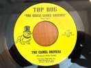 THE CAMEL DRIVERS-Grass Looks Greener 45 DETROIT GARAGE FUZZ PSYCH TOP DOG NM