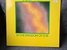 scientist In The Kingdom Of Dub 1981 vinyl