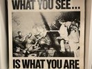 Alternative TV - What You See Is What You Are Vinyl LP PUNK 1978