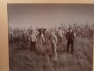 The Feelies – The Good Earth     1st press EX Vinyl LP67