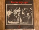 Radio Birdman Burn My Eye 7