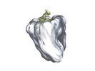 Ween - White Pepper - (Vinyl, LP, Album, Reissue, 180g) (Very Good Plus (VG+))