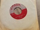 The Robins Riot In Cell Block #9/Wrap It Up 45 Rpm Doo Wop Soul Vocal Group NM+