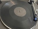 Men At Work 12” Single Black Label Promo- Who Can It Be Now? Rare Double A Side