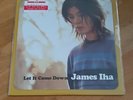 James Iha - Let It Come Down Vinyl Lp The Smashing Pumpkins Green day Rar