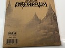 Omnium Gatherum by King Gizzard & the Lizard Wizard (Record, 2022)
