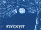 Roger Webb Sound Moonshade LP vinyl UK Be With 2023 Reissue of the 1971 library