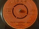 Andy & Joey, You're Wondering Now / You'll Never.  7