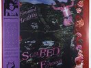 Ariel Pink's Haunted Graffiti - Scared Famous/FF 2xLP - Mexican Summer SEALED