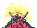 Bob Marley  The Wai - Uprising - Used Vinyl Record - G2508z