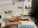 The Beatles in Mono [Vinyl Box Set] by The Beatles (Vinyl, Sep-2014, 14...