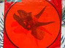 Alice In Chains ‎– The Devil Put Dinosaurs Here 2xLP Pic Disc