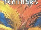 FOAT, Greg/EERO KOIVISTOINEN - Feathers - Vinyl (limited LP + MP3 download code)
