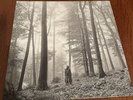 Folklore Limited Edition “In The Trees” Deluxe Vinyl - 2020 BEIGE MARBLE
