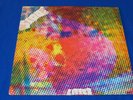 THE LITTER / $100 Fine OG USA 1st PRESS LP 1968 INMENSE GARAGE FUZZ PSYCH GODS