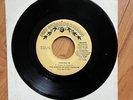 The Voices Of East Harlem - Cashing In /I Like Having You Around - Just Sunshine