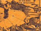 No Sub Reino dos Metazoarios by Notaro, Marconi (Record, 2022)