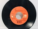 Blues Traveler Hook Run-around 45 Record A&M Blues Folk Alternative Rock 1995
