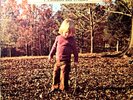 The Allman Brothers Band Brothers and Sisters LP CP 0111 (VINYL & JACKET EXLNT)