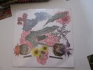 Apes Of The State LP Pipe Dream Record  SEALED Folk PUNK 2019