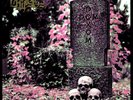 NEW NECROS CHRISTOS Domedon Doxomedon 3x LP BOX SET Venenum Mgła Teitanblood