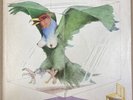 ATOMIC ROOSTER - SELFTITLED - ORIGINAL UK STEREO LARGE B&C ON LABEL LP - CAS1010