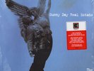 Sunny Day Real Estate - Rising Tide (Vinyl 2LP - 2000 - US - Reissue)