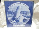A FOOT IN COLDWATER  THE SECOND FOOT IN COLDWATER 1 ST PRESS SBA 16028 1973 MINT