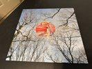They Might Be Giants Glean 2015 LP Vinyl TMBG IDLE140LP SP edition Die Cut cover