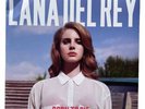 Lana Del Rey – Born To Die - 2 x Vinyl LP