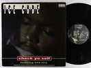 Ice Cube ft. Das EFX - Check Yo Self 12