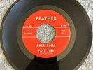 Pale Fire Back Home Feather Ups And Downs 1968 Garage Psych NM Rare San Diego