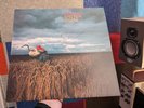 MARTIN GORE SIGNED Depeche Mode -  'A Broken Frame' Vinyl Record LP Album - Rare