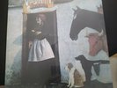 Just Another Diamond Day Artist Vashti Bunyan Vinyl lp (Clear vinyl) BRANCH002LP