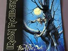 Iron Maiden Fear Of The Dark Vinyl Album 2 LP UK 1st Press EMD 1032