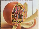 Promo - RYO KAWASAKI - JUICE - 1976 RCA APL1-1855 LP Vinyl Record - EX