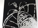 Robyn Hitchcock - Bells Of Rhymney - Vinyl 12