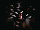 Shadowland by Ora Cogan (Record, 2017)