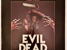 EVIL DEAD- Original Horror Soundtrack Vinyl-1984 Varese Sarabande-Sam Raimi-Rare