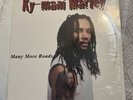 Ky-mani Marley Many More Roads 12” Vinyl