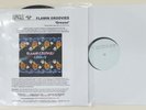 Flamin' Groovies 'Grease' Skydog 2LP TEST PRESSING +infosheet - very limited